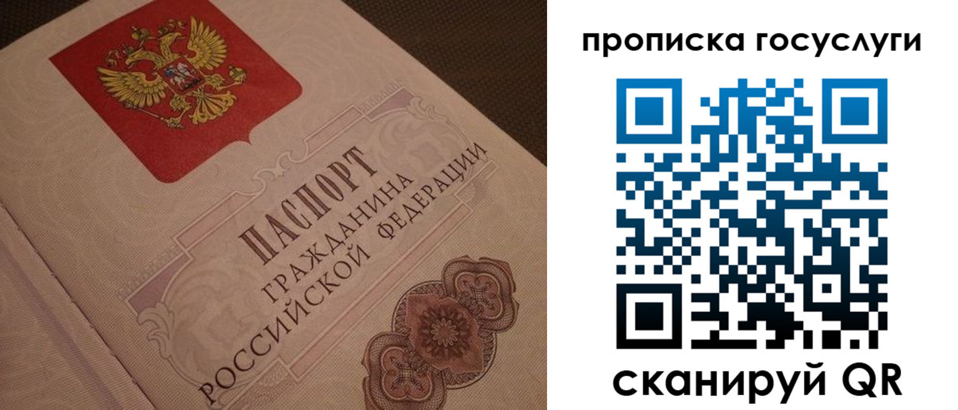 прописка для работы в Бикине